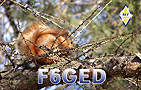 F6GED - 