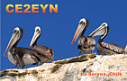 CE2EYN - 