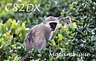 C82DX - 