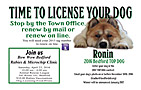 BEDFORD_DOG_LICENSING - Front