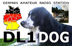 DL1DOG - 