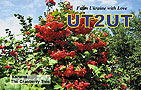 UT2UT - 