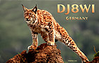DJ8WI - 